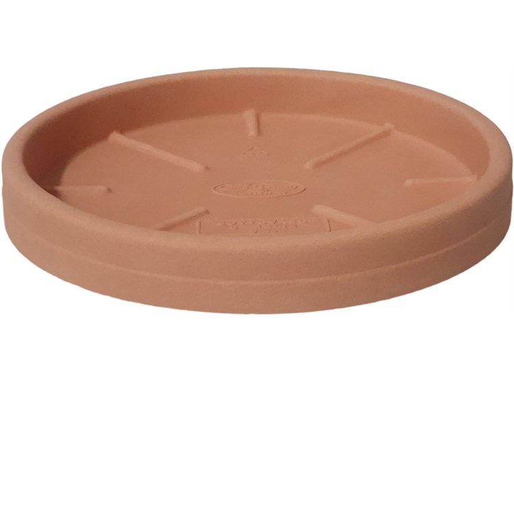 Sottovaso Camelie Liscio Terra Di Siena cm 23