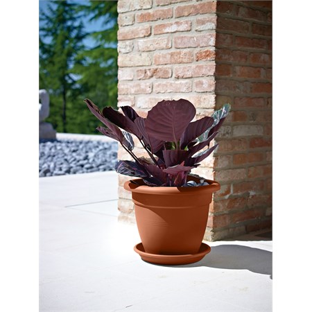 vaso linteo terracotta cm 70