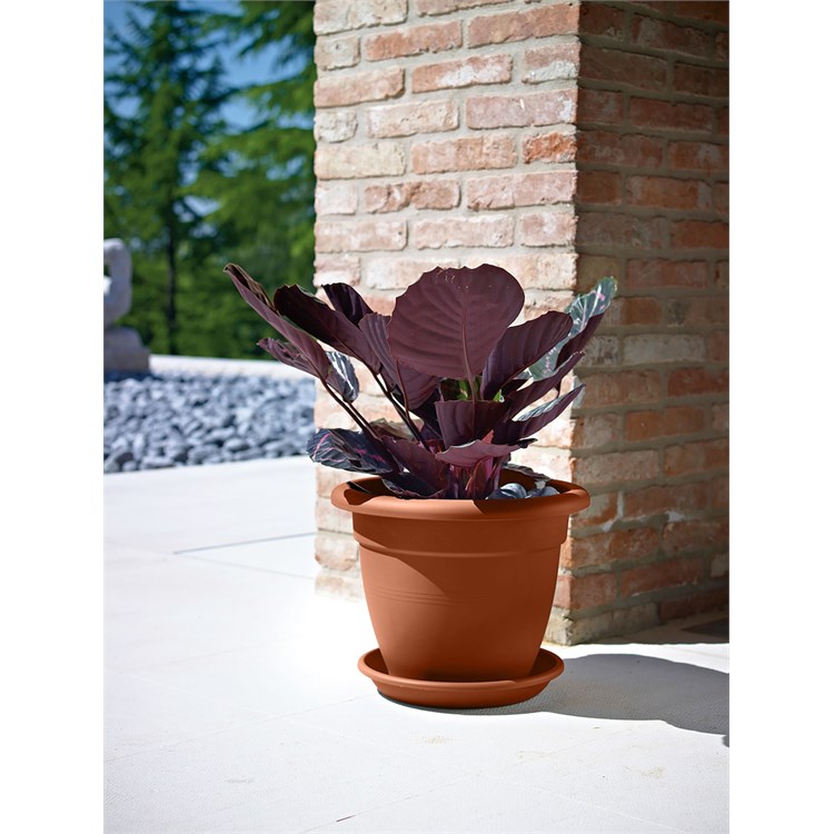 Vaso Linteo Terracotta cm 85