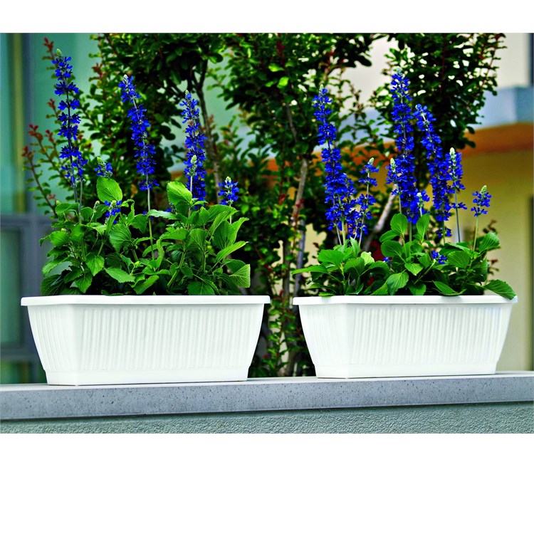 Cassetta e Sottocassetta Dune cm 50