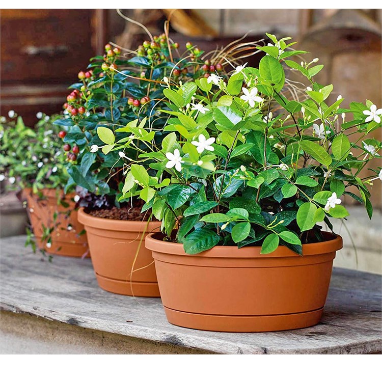 Ciotola con Sottovaso Libis Terracotta cm 30