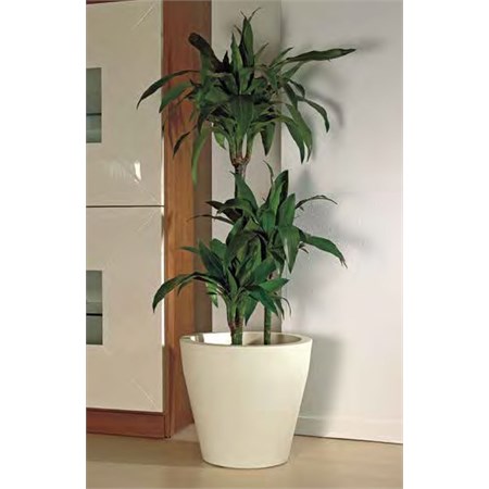 vaso niscal avorio cm 57