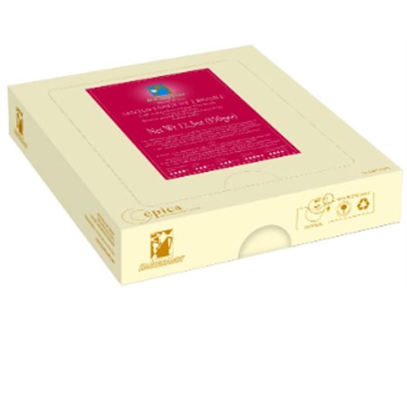 caffe santos fancy ny 2 brasile