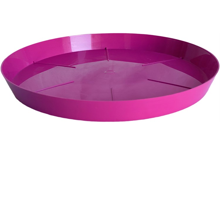 Sottovaso Mitu Ciclamino cm 18