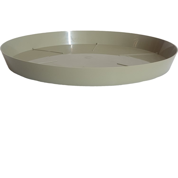 Sottovaso Mitu Rosmarino cm 28
