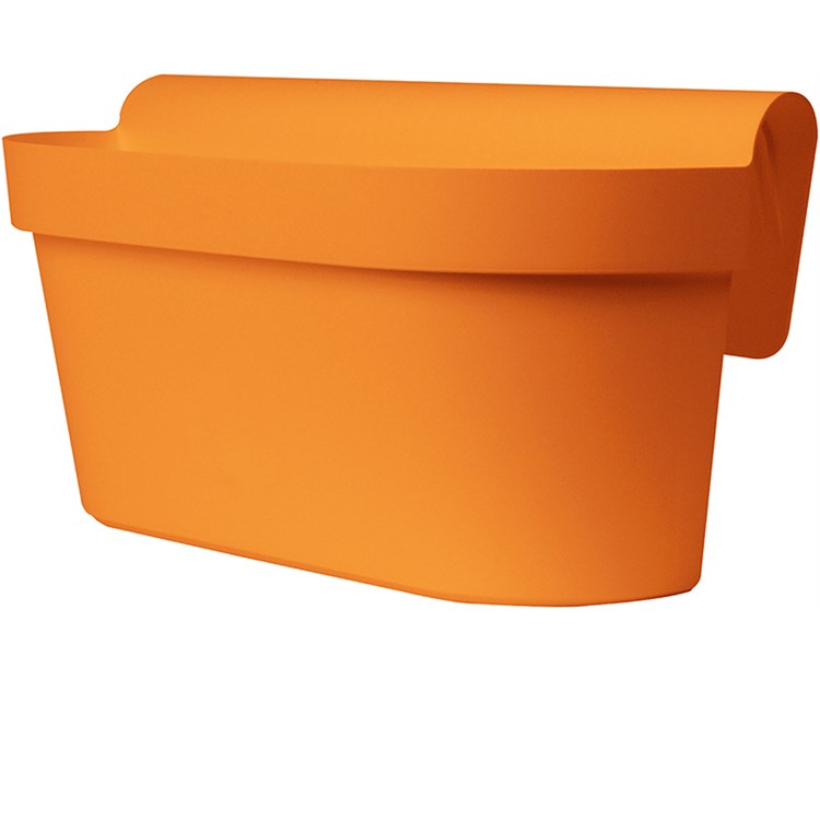 Cassetta Up Albicocca cm 50