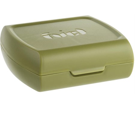 sandwich box verde