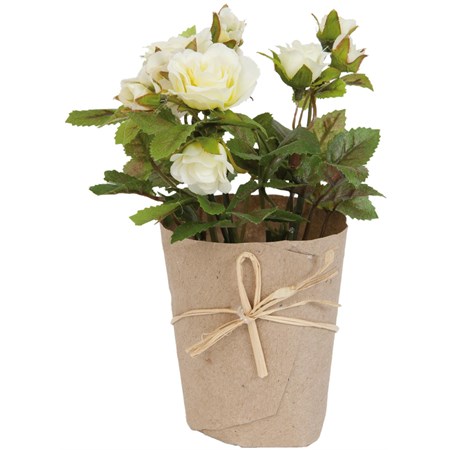 decorazione rose in pot