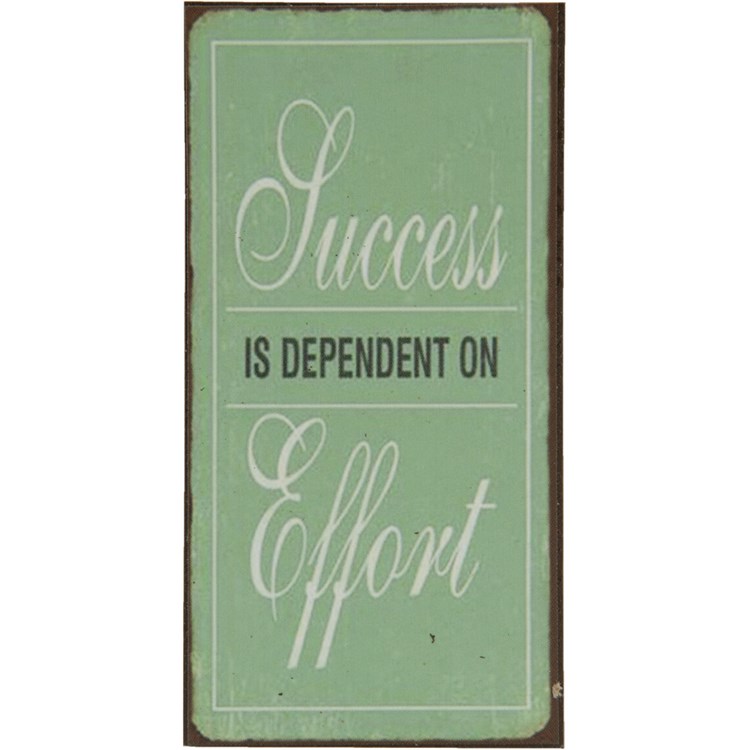 Magnete Del Successo