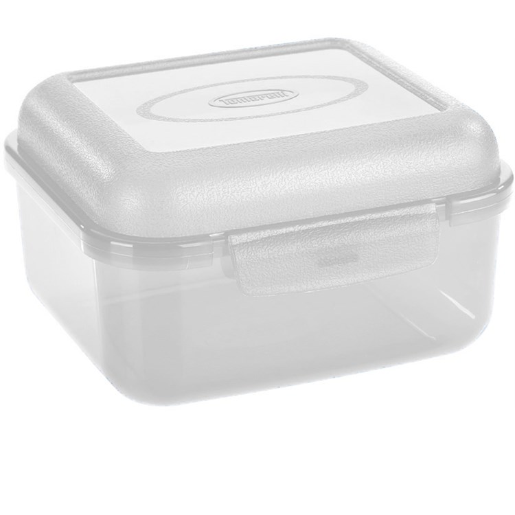 Fill Box Contenitore Con Coperchio Seconda Misura Trasparente