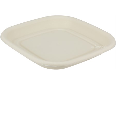 tullipan adatto per vaso cm 40 sottovaso angora