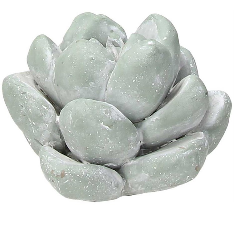 Piantina Decorativa Cm 7 H