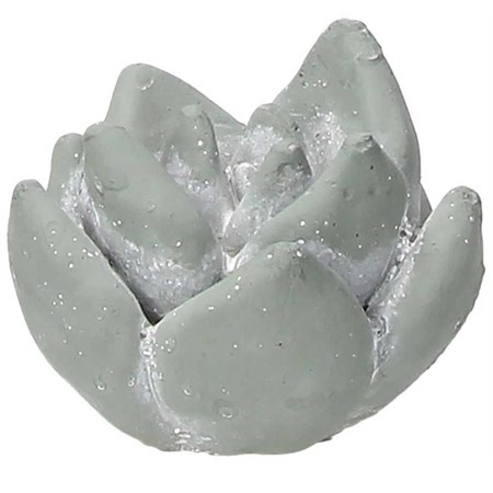 piantina decorativa cm 8 h