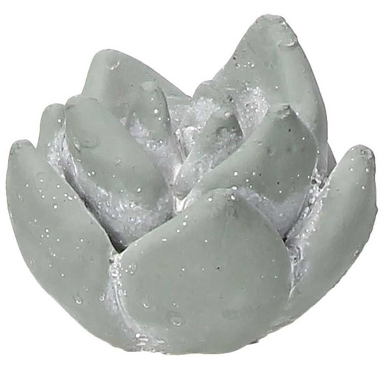 Piantina Decorativa Cm 8 H