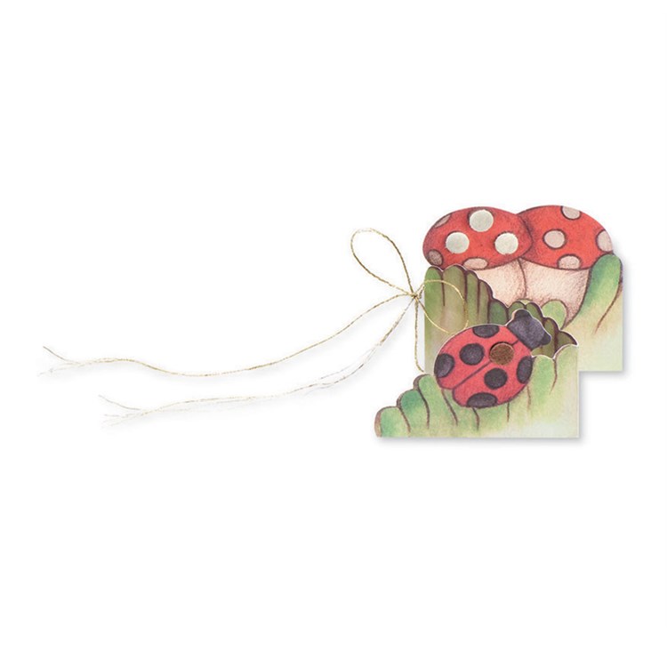 Biglietto Auguri Coccinella e Funghi