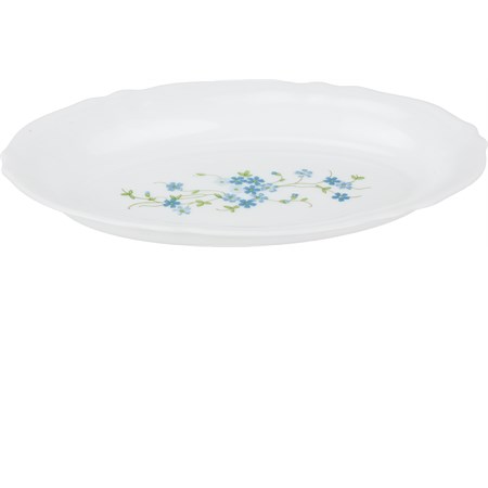 ovalina arcopal veronica