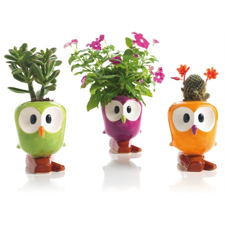 Coprivaso Wetty Arancio in Casa