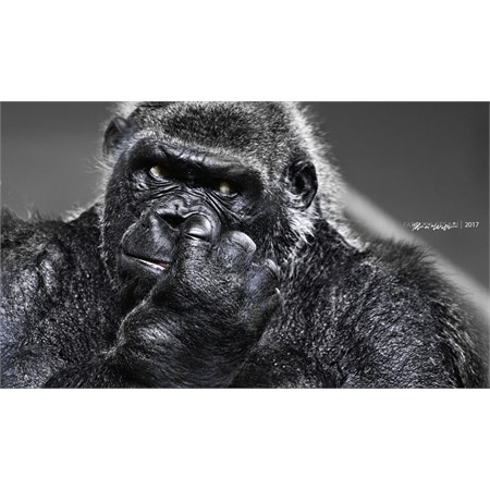 Set 6 Bicchieri in Vetro Aras in Tavola