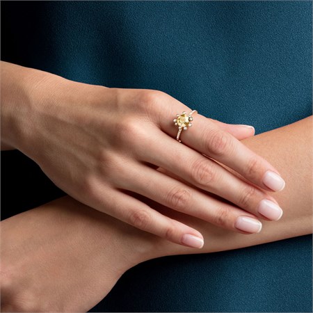 Anello Olive  in Boutique