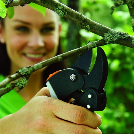 Forbici PowerStep Incudine P83 in Casa