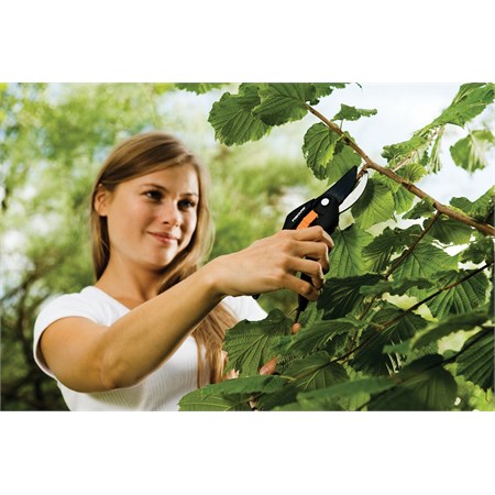 Forbici SingleStep By Pass P26 in Casa