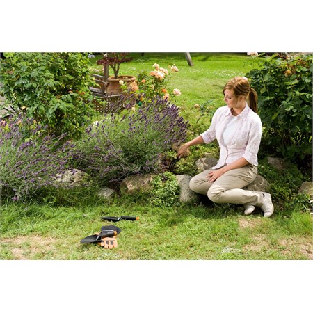 Trapiantatore lama stretta in Casa