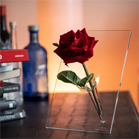 Si Single Vaso Per Un Solo Fiore in Casa