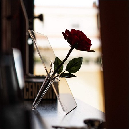 Si Single Vaso Per Un Solo Fiore in Casa