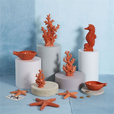 Cavalluccio Marino Cm 26 H in Casa