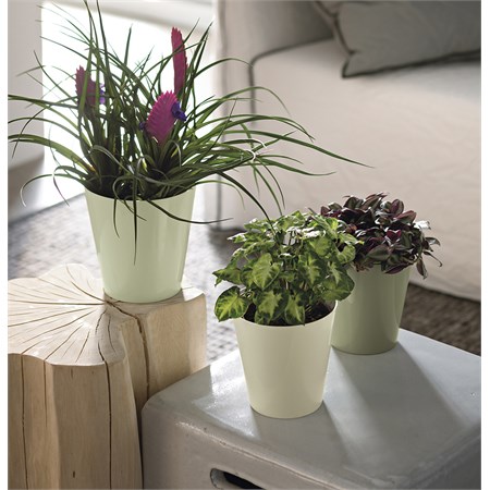 Vaso Clivo con Fori cm 14 in Casa