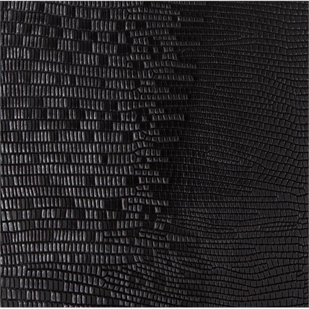 Jackie Bollitore Lucertola in Cucina