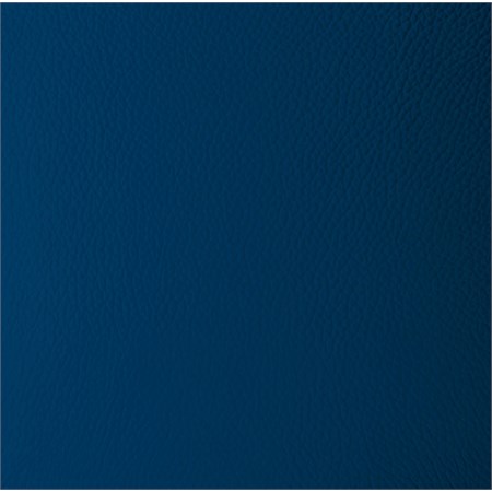 Jacqueline Bollitore Pelle Blu in Cucina