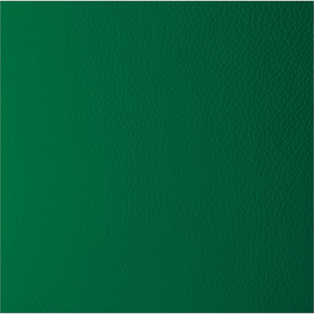 Jacqueline Bollitore Pelle Verde in Cucina