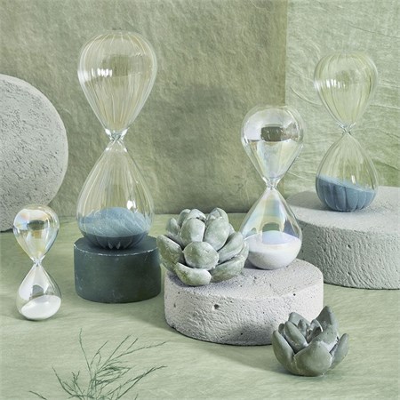 Piantina Decorativa Cm 7 H in Casa