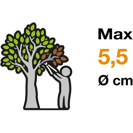 Trocarami Ad Incudine L109 in Casa