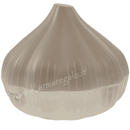 conserva aglio home