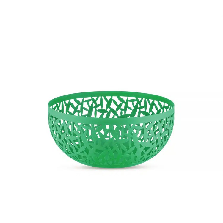 Cactus Fruttiera Piccola Verde