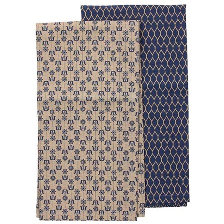 coppia di strofinacci blu