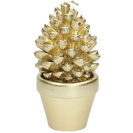 candela pigna lux aurea