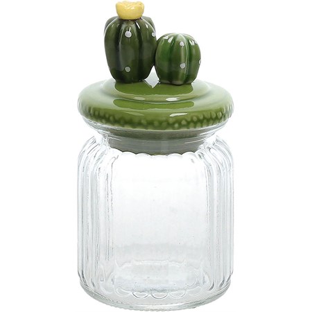 barattolo piccolo cactus verde