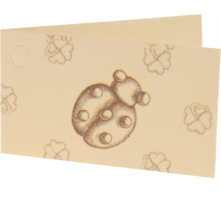 Bigliettino Coccinella